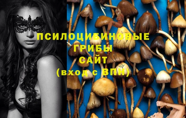 дмт Абаза