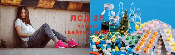 ГАЛЛЮЦИНОГЕННЫЕ ГРИБЫ Абинск