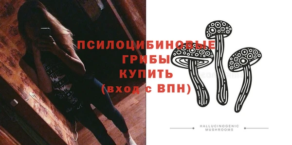 дмт Абаза