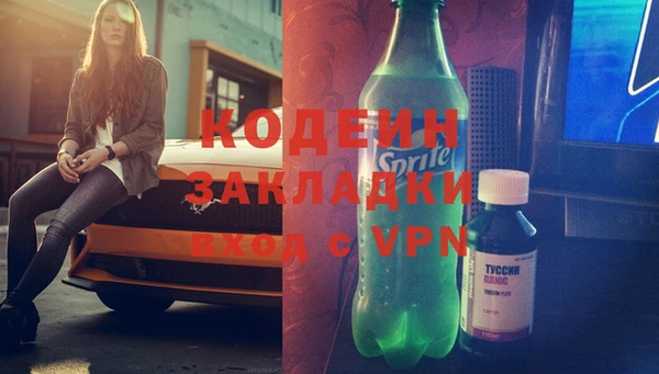 шишки Лагань