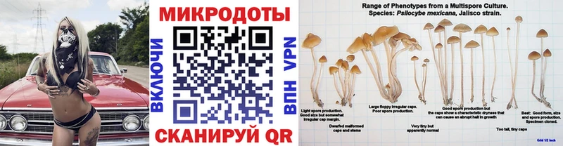 Галлюциногенные грибы мицелий  блэк спрут зеркало  Тбилисская 